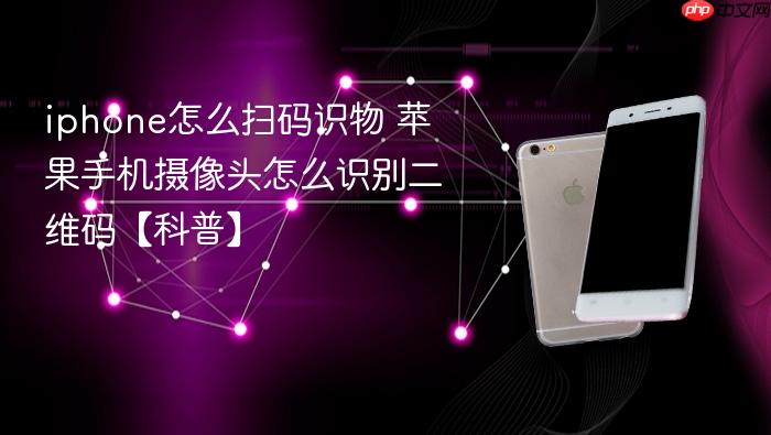 iphone怎么扫码识物 苹果手机摄像头怎么识别二维码【科普】