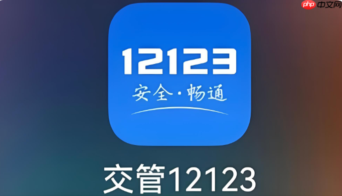 交管12123怎么查考试成绩_交管12123查看驾考成绩操作技巧【解答】