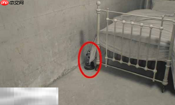 生化危机9安魂曲黑白浣熊先生5在哪 第五个黑白浣熊先生位置攻略