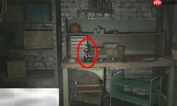 生化危机9安魂曲黑白浣熊先生7在哪 第七个黑白浣熊先生位置攻略