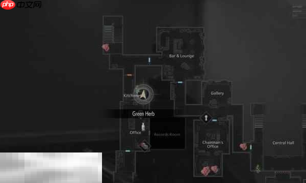 生化危机9安魂曲黑白浣熊先生4在哪 第四个黑白浣熊先生位置攻略