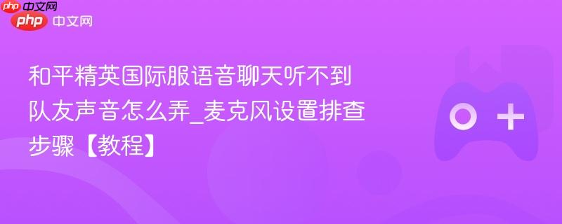 和平精英国际服语音聊天听不到队友声音怎么弄_麦克风设置排查步骤【教程】