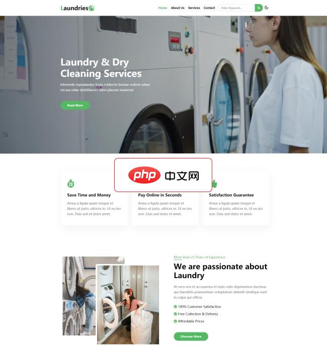 DM系统洗衣店干洗店宣传网站模板1.7