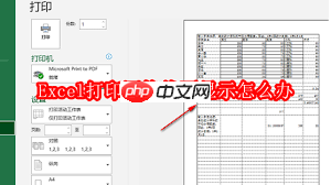 Excel打印时网格线不显示怎么办