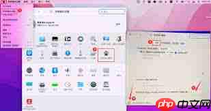 Camtasia录制为何出现错误