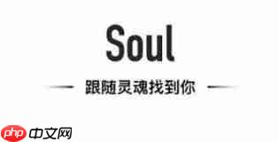 soul对方因违反规定不能回复的原因