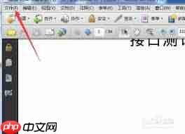 怎样用Adobe Acrobat 9 Pro打开管理器