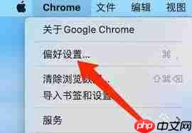 谷歌浏览器如何进行安全检查