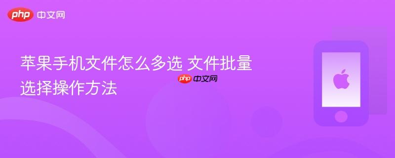苹果手机文件怎么多选 文件批量选择操作方法