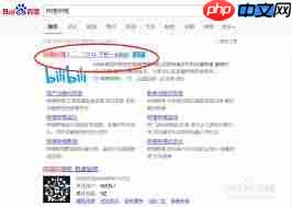 哔哩哔哩bilibili网页版入口在哪