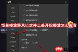 恒星播放器怎么允许开启多个播放器