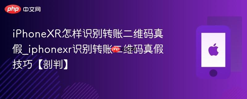 iphonexr怎样识别转账二维码真假_iphonexr识别转账二维码真假技巧【剖判】