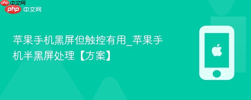 苹果手机黑屏但触控有用_苹果手机半黑屏处理【方案】