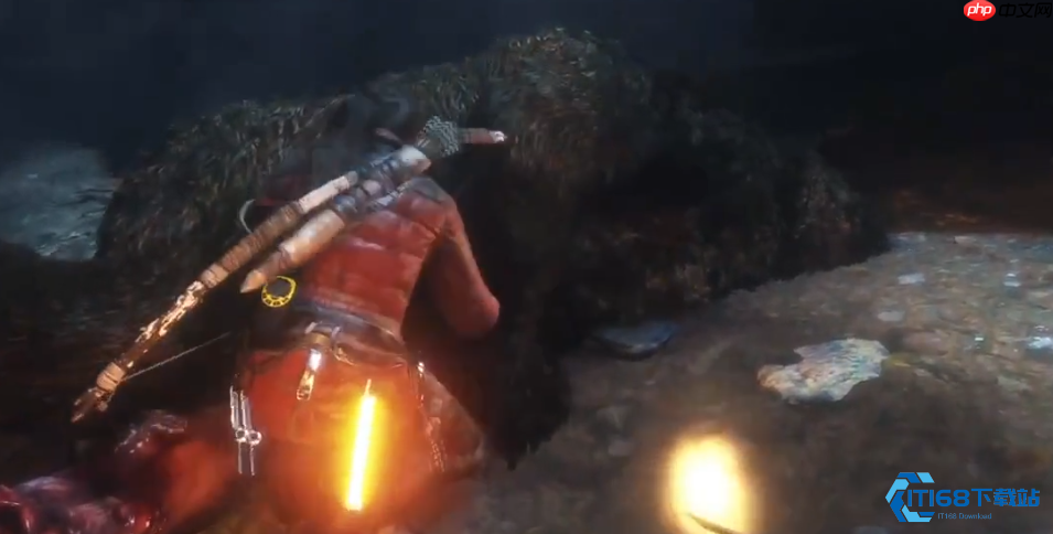 勇闯秘穴：巨熊之后的水潭与毒气挑战详解指南！