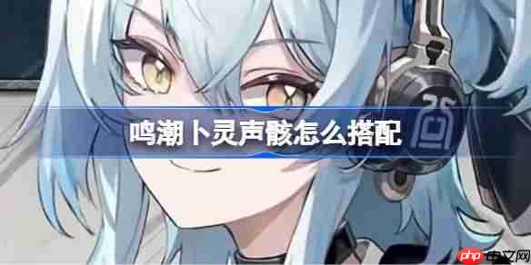 鸣潮卜灵声骸怎么搭配-鸣潮卜灵声骸推荐