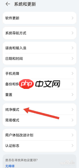 如何关闭玩机技巧中的纯净模式