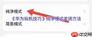 如何关闭玩机技巧中的纯净模式
