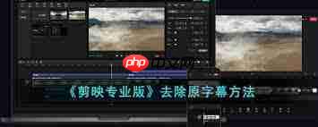 剪映如何去掉原字幕