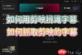 剪映如何去掉原字幕