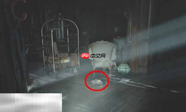 生化危机9文件3旅馆宣传册怎么获取 全文件收集攻略