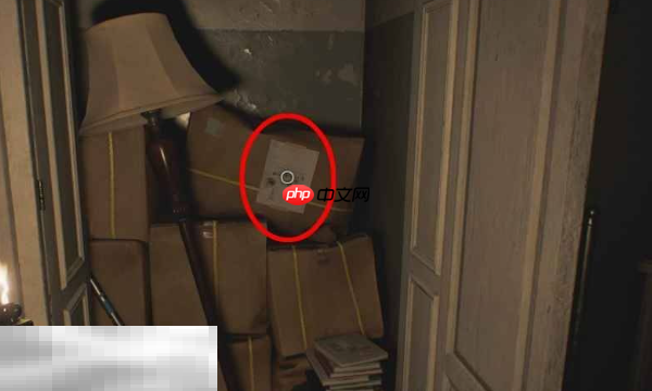 生化危机9文件8纸箱上的便条怎么获取 全文件收集攻略