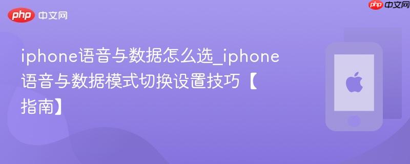 iphone语音与数据怎么选_iphone语音与数据模式切换设置技巧【指南】