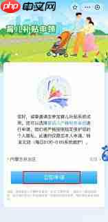 内蒙古育儿补贴如何领取