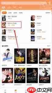 阅友小说如何加入书架