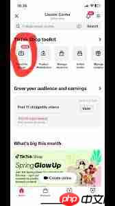 TikTok搜索不到商品怎么办