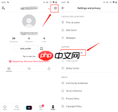 TikTok账号被封如何解决
