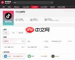 TikTok账号被封如何解决