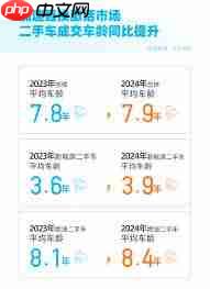 天天拍车服务费多少钱