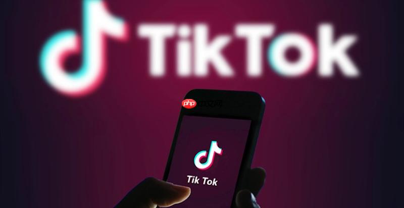 话社怎么加入tiktok公会 tiktok公会申请方法