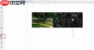 CDR如何调节图片不透明度