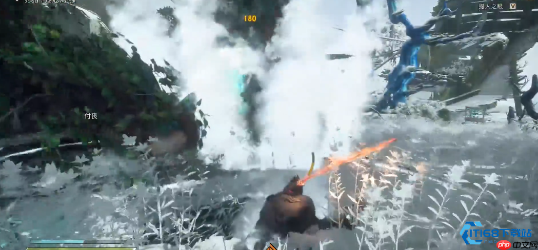 姬冠禽战斗技巧大揭秘 —— 轻松应对这只难缠大公鸡！