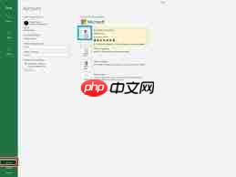 office密钥如何正确输入