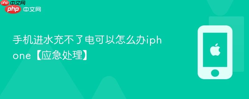 手机进水充不了电可以怎么办iphone【应急处理】