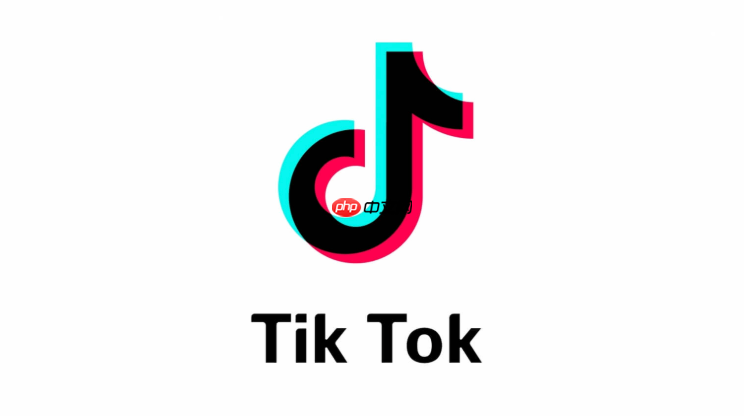 tiktok视频怎么加中文字幕 tiktok自动生成字幕及翻译教程【工具】