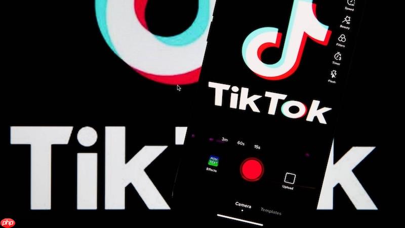 tiktok怎么加入mcn机构 tiktok mcn合作流程及权益说明【解析】