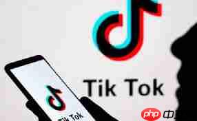 TikTok官方最新入口在哪
