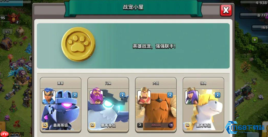 弓箭女皇最佳战宠搭配指南：战场制胜的亲密伙伴！