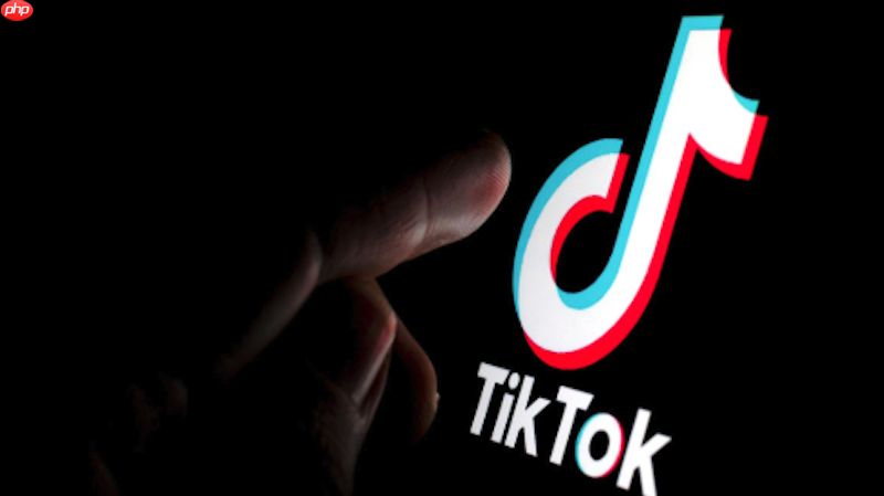 tiktok名字怎么改好记 tiktok取名技巧及改名限制说明【建议】