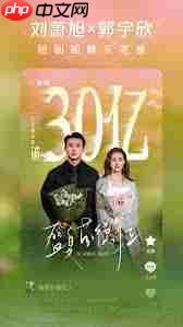 红果免费短剧电脑版如何在线观看