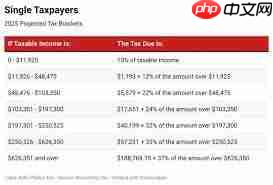 2025年交税标准是什么