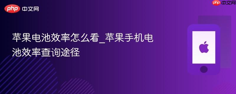 苹果电池效率怎么看_苹果手机电池效率查询途径