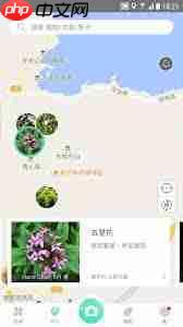 形色app怎样删除待鉴定图片