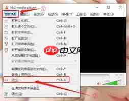 VLC media player如何设置自动开始播放
