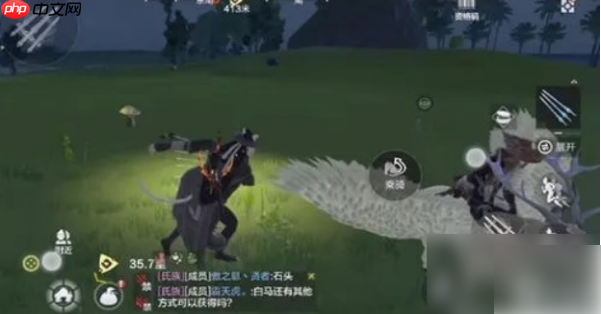 妄想山海玄马在哪里抓 具体介绍