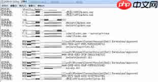 SoftCnKiller如何使用