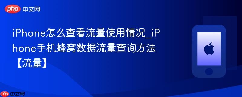 iphone怎么查看流量使用情况_iphone手机蜂窝数据流量查询方法【流量】